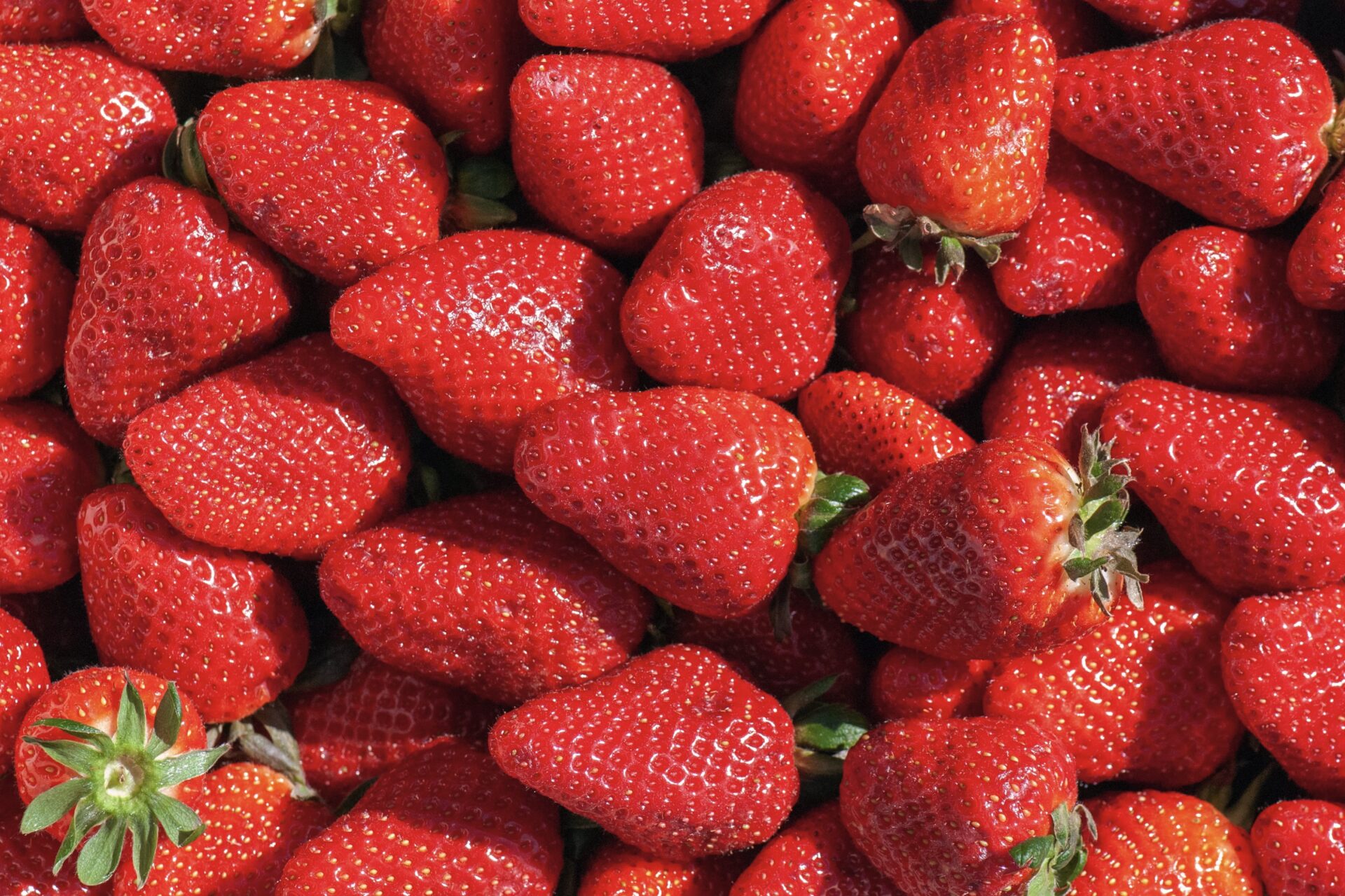 fraises